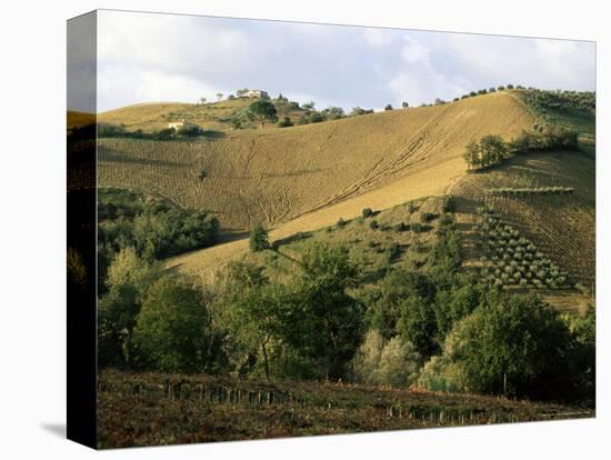 Landscape Near Chieti, Abruzzo, Italy-Michael Newton-Premier Image Canvas