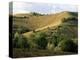 Landscape Near Chieti, Abruzzo, Italy-Michael Newton-Premier Image Canvas