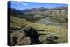 Landscape near El Chalten, Argentine Patagonia, Argentina, South America-David Pickford-Premier Image Canvas