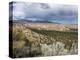 Landscape Near Los Alamos, New Mexico, United States of America, North America-Richard Cummins-Premier Image Canvas
