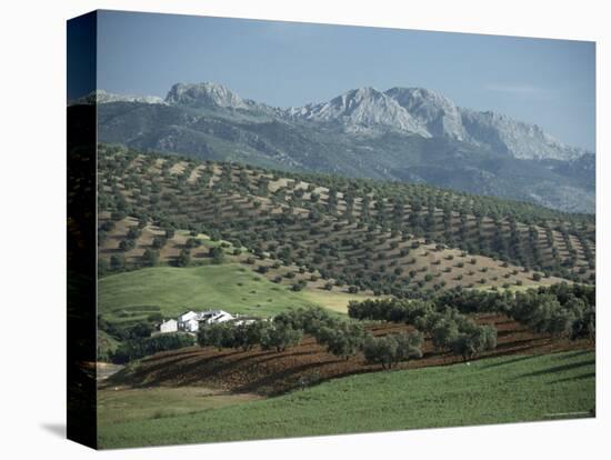 Landscape Near Malaga, Andalucia, Spain-Adam Woolfitt-Premier Image Canvas