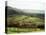 Landscape Near Wincle, Cheshire, England, United Kingdom-Jonathan Hodson-Premier Image Canvas