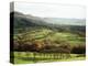 Landscape Near Wincle, Cheshire, England, United Kingdom-Jonathan Hodson-Premier Image Canvas