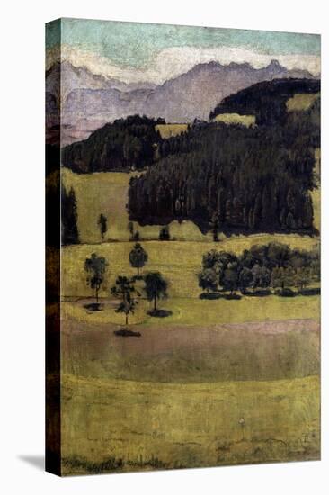 Landscape, Oaks at Stockhorn, 1898 (Oil on Canvas)-Ferdinand Hodler-Premier Image Canvas