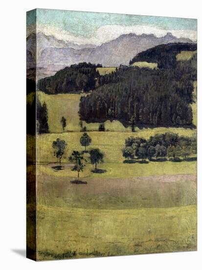 Landscape, Oaks at Stockhorn, 1898-Ferdinand Hodler-Premier Image Canvas