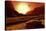 Landscape of An Alien World, Artwork-Detlev Van Ravenswaay-Premier Image Canvas