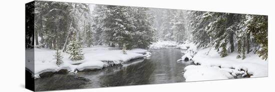 Landscape of Firehole River in forest, Upper Geyser Basin, Yellowstone National Park, Wyoming, USA-Panoramic Images-Premier Image Canvas