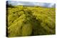 Landscape of lava covered in moss, South Iceland, Polar Regions-Miles Ertman-Premier Image Canvas