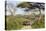 Landscape of the African Savanna with Safari Vehicle, Tanzania-James Heupel-Premier Image Canvas