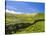 Landscape of the Caldeirao do Corvo, Corvo, Azores, Portugal, Atlantic, Europe-Karol Kozlowski-Premier Image Canvas