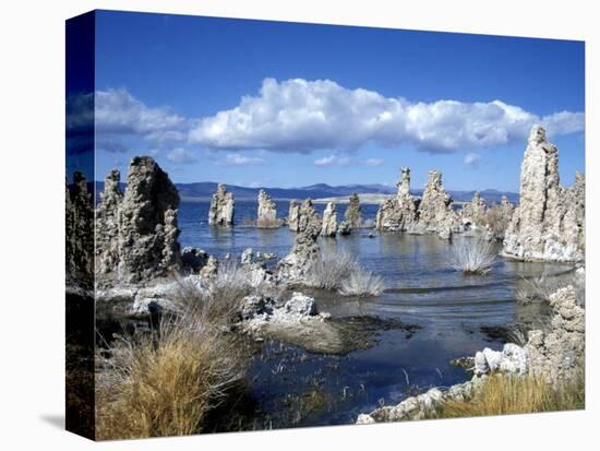 Landscape of Tufa Formations at Mono Lake, California, USA-Richard Nebesky-Premier Image Canvas