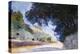 Landscape, Olive Trees, Corfu 1909-Eugène Boudin-Premier Image Canvas