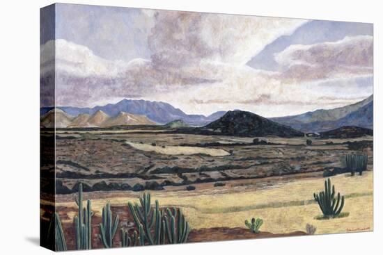 Landscape on the Way to Teotitlan, 1999-Pedro Diego Alvarado-Premier Image Canvas