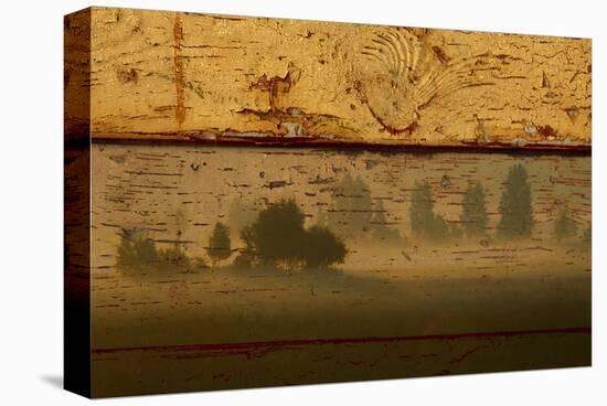 Landscape on Wood I-Irena Orlov-Stretched Canvas
