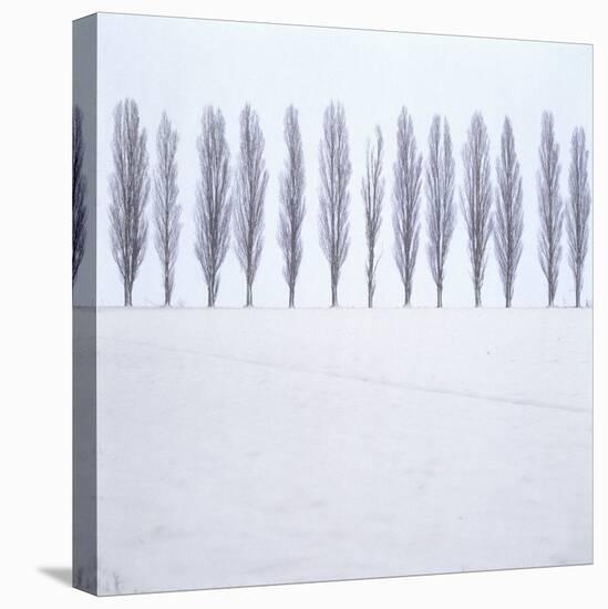 Landscape, Row of Trees, Winter-Roland T.-Premier Image Canvas