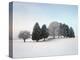 Landscape, Trees, Winter-Herbert Kehrer-Premier Image Canvas