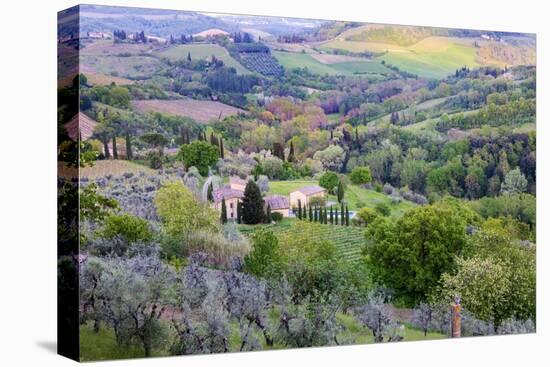 Landscape view from the top of the walls of San Gimignano. Tuscany, Italy.-Tom Norring-Premier Image Canvas