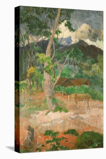 Landscape with a Horse, 1899-Paul Gauguin-Premier Image Canvas