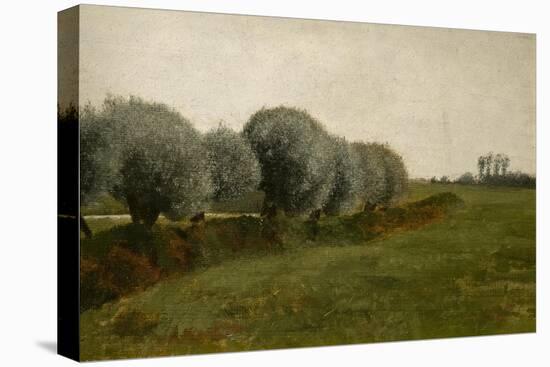 Landscape with a row of trees, 1880-Vilhelm Hammershoi-Premier Image Canvas