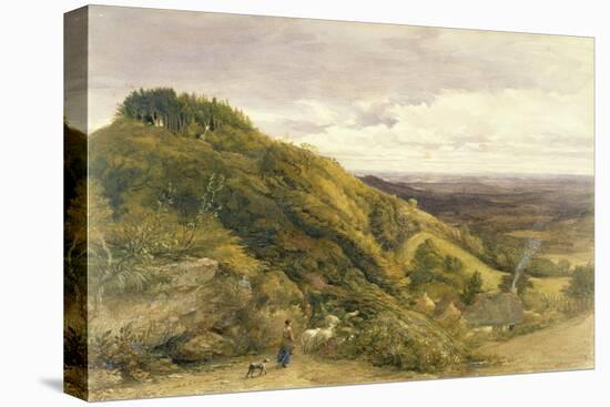 Landscape with a Woman Driving Sheep-Samuel Palmer-Premier Image Canvas