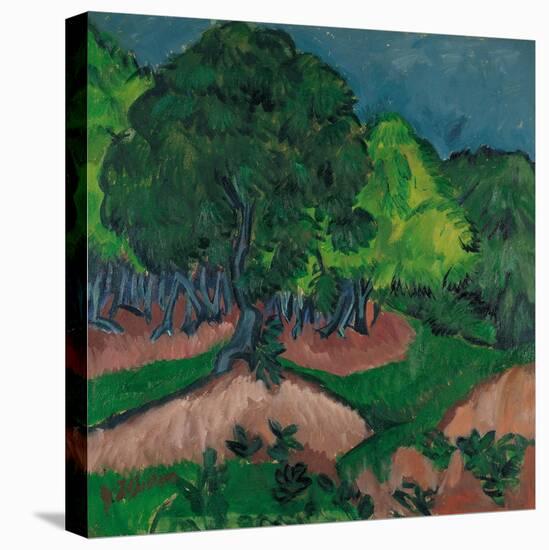 Landscape with Chestnut Tree, 1913-Ernst Ludwig Kirchner-Premier Image Canvas