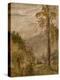 Landscape with Church-Albrecht Altdorfer-Premier Image Canvas