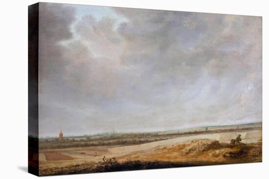 Landscape with Cornfields, 1638-Salomon Jacobsz van Ruisdael-Premier Image Canvas