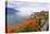 Landscape with Flowers and Lake Geneva, Montreux, Switzerland.-felker-Premier Image Canvas