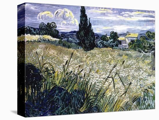 Landscape with Green Corn-Vincent van Gogh-Premier Image Canvas