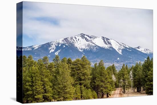 Landscape with Humphreys Peak Tallest in Arizona-digidreamgrafix-Premier Image Canvas