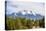 Landscape with Humphreys Peak Tallest in Arizona-digidreamgrafix-Premier Image Canvas