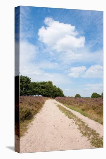 Landscape with Sand Path Purple Heath Fields in Summer-Ivonnewierink-Premier Image Canvas