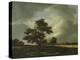 Landscape with Shepherds and Peasants-Jacob Van Ruysdael-Premier Image Canvas