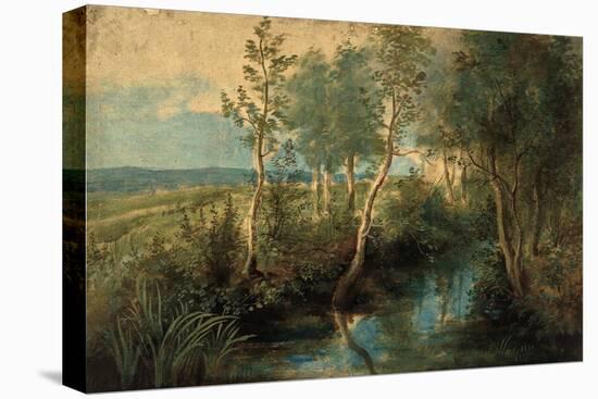 Landscape with Stream Overhung with Trees, 1637-1640-Peter Paul Rubens-Premier Image Canvas