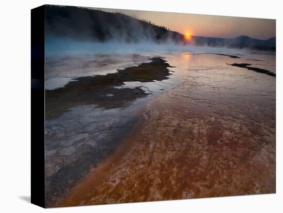 Landscape with view of Grand Prismatic Spring at sunrise, Yellowstone National Park, Wyoming, USA-Panoramic Images-Premier Image Canvas