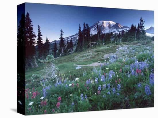 Landscape with Wild Flowers, Mount Rainier National Park, Washington State-Colin Brynn-Premier Image Canvas