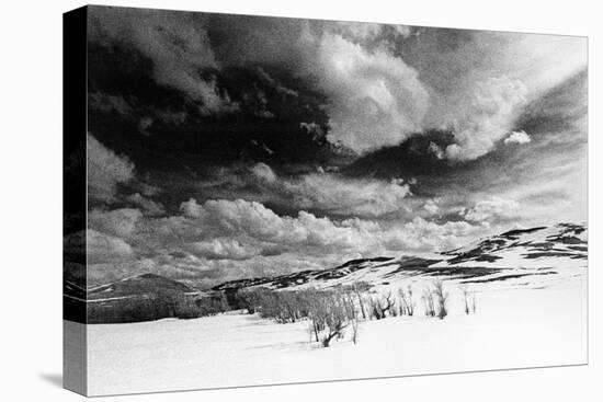 Landscape, Wyoming, USA-Simon Marsden-Premier Image Canvas