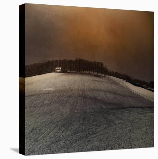 Landscape-Inge Schuster-Premier Image Canvas