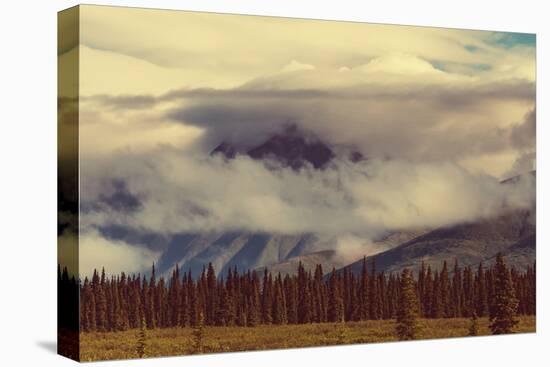 Landscapes on Denali Highway, Alaska. Instagram Filter.-Andrushko Galyna-Premier Image Canvas