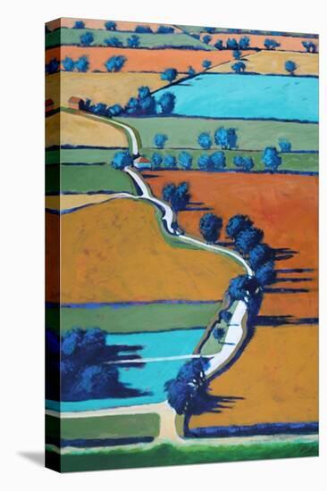 Lane towards Ledbury-Paul Powis-Premier Image Canvas