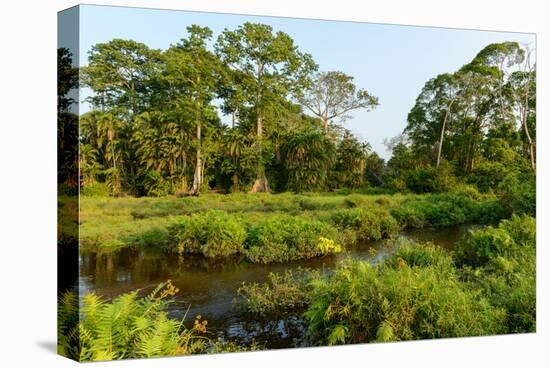 Lango Bai. Odzala-Kokoua National Park. Congo-Roger De La Harpe-Premier Image Canvas