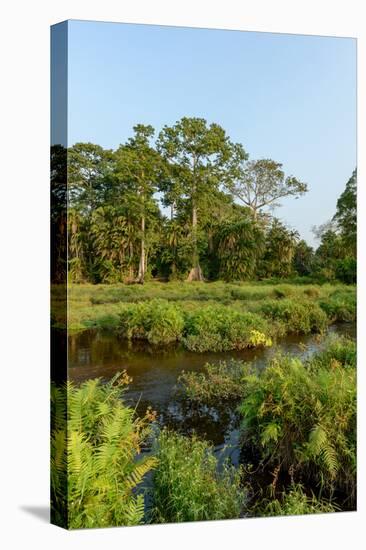 Lango Bai. Odzala-Kokoua National Park. Congo-Roger De La Harpe-Premier Image Canvas