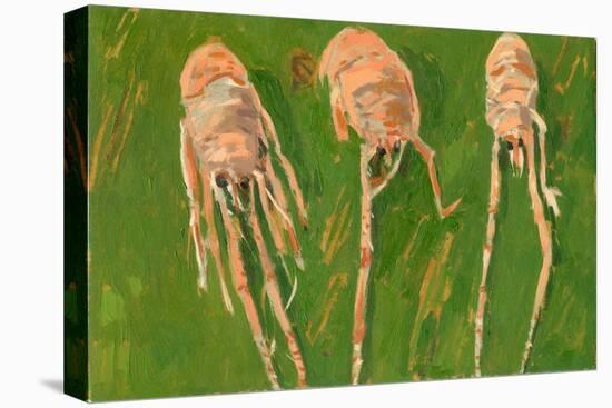 Langoustines, 2000-Delphine D. Garcia-Premier Image Canvas