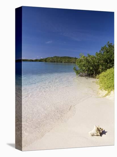 Lanqui, Los Roques, Venezuela, South America-Sergio Pitamitz-Premier Image Canvas