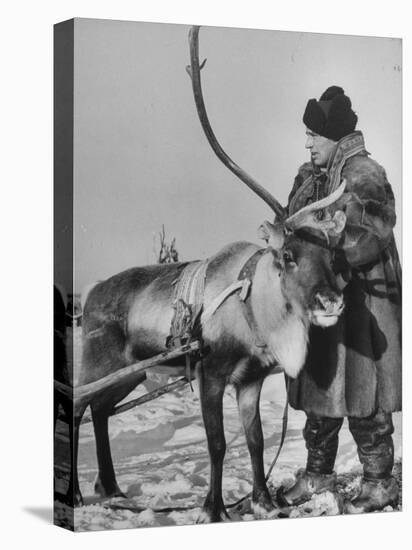 Lapp Tribesman Tending to His Reindeer-Mark Kauffman-Premier Image Canvas