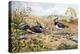 Lapwing Family with Goldfinches-Carl Donner-Premier Image Canvas