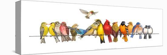 Large Bird Menagerie-Wendy Russell-Stretched Canvas