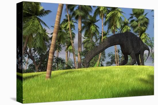 Large Brachiosaurus Grazing in a Tropical Climate-null-Stretched Canvas