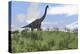 Large Brachiosaurus Grazing in an Open Field-null-Stretched Canvas