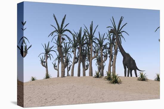 Large Brachiosaurus Grazing on an Island-null-Stretched Canvas